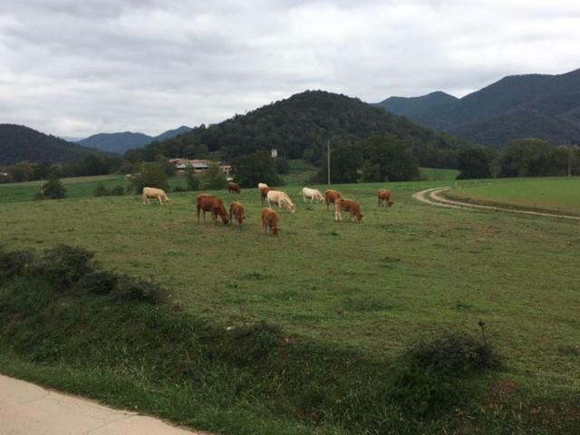 Casa Can Boix La Vall de Bianya Exterior foto