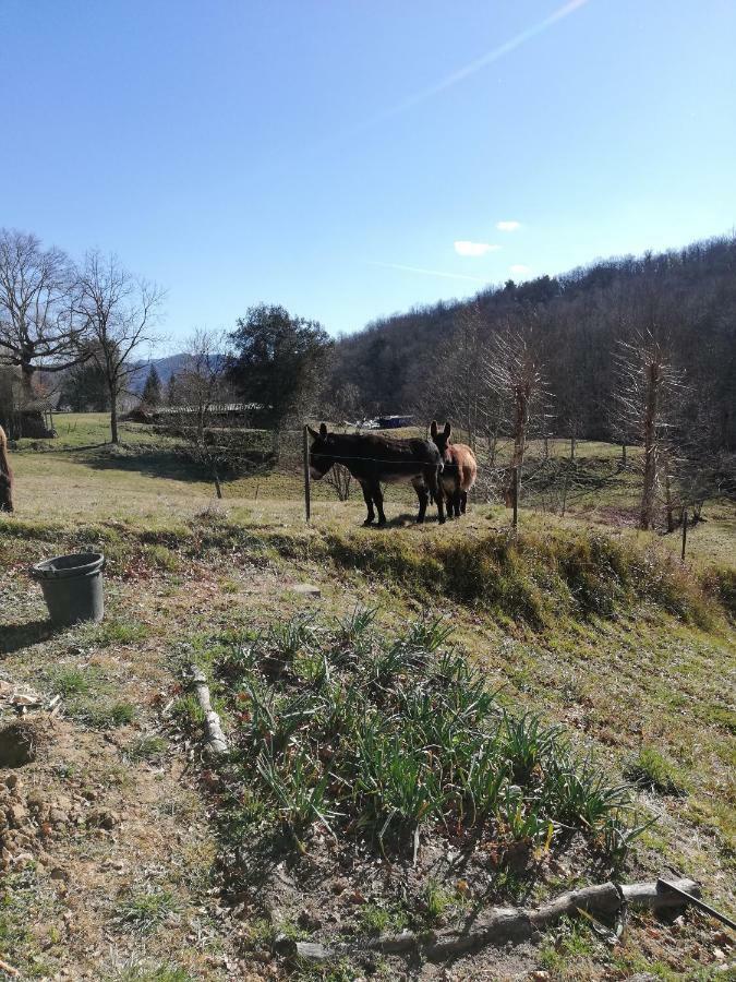 Casa Can Boix La Vall de Bianya Exterior foto